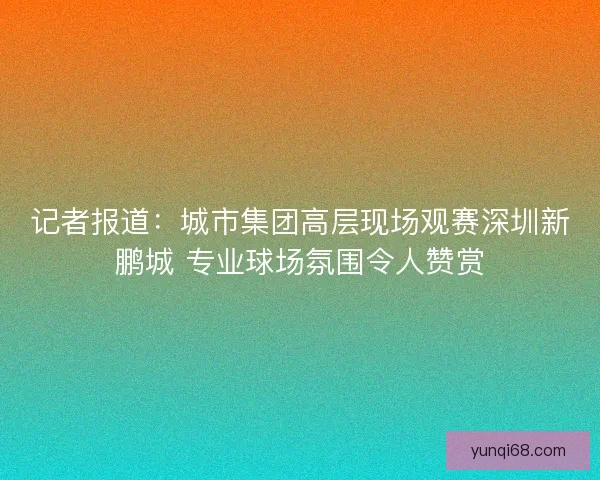 记者报道：城市集团高层现场观赛深圳新鹏城 专业球场氛围令人赞赏
