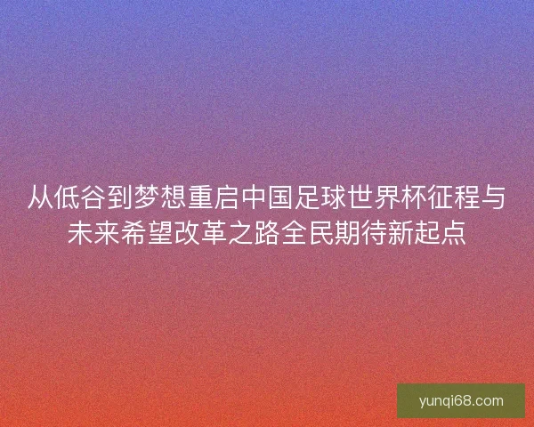 从低谷到梦想重启中国足球世界杯征程与未来希望改革之路全民期待新起点