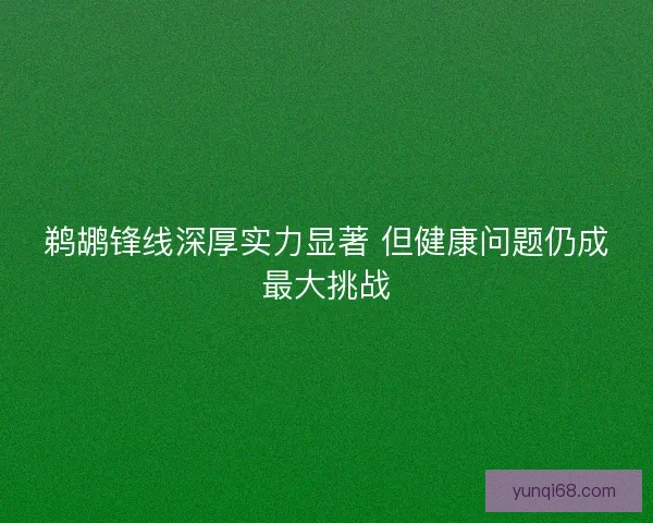 鹈鹕锋线深厚实力显著 但健康问题仍成最大挑战